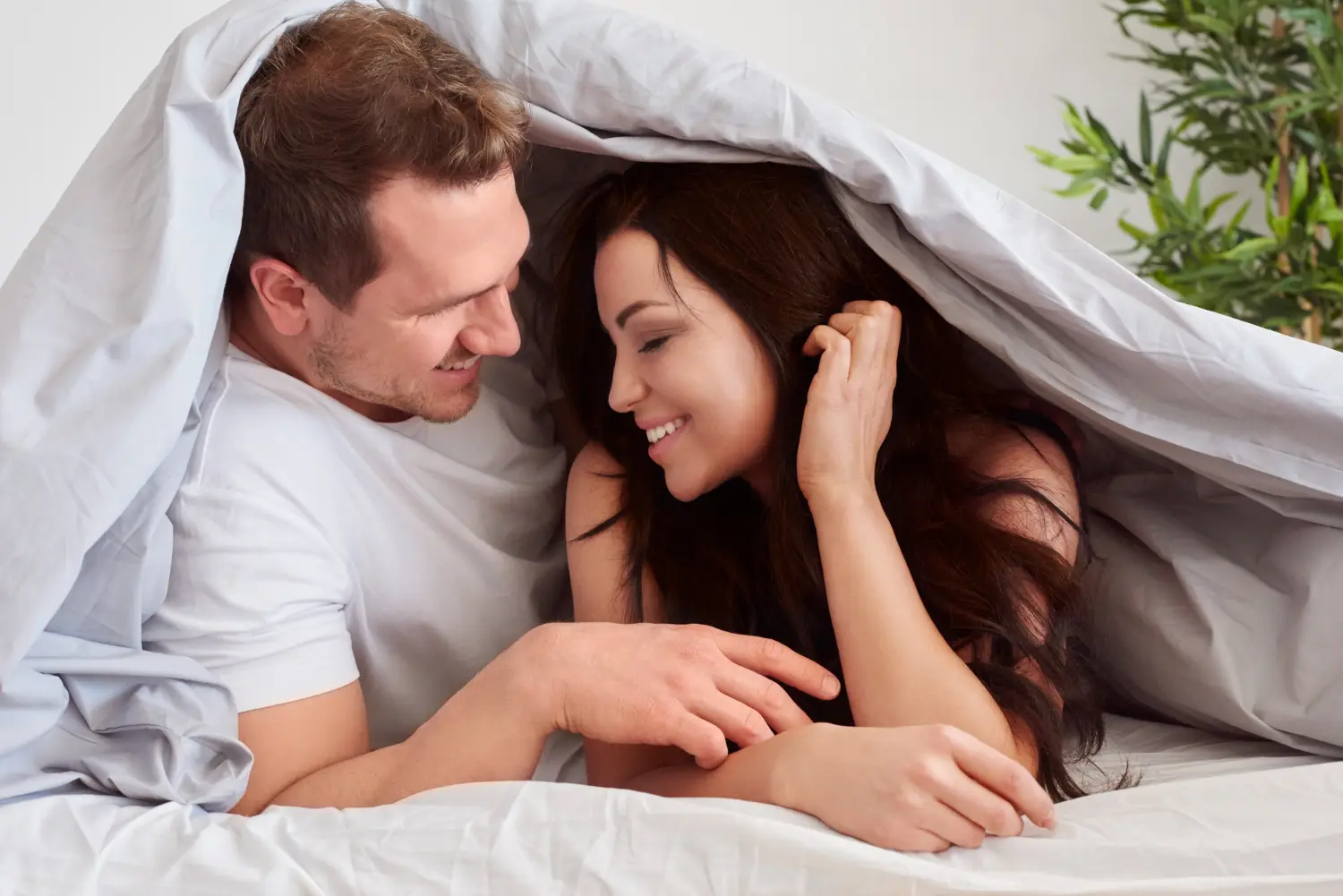 Sexual Wellness Physical Emotional Hormonal Health Intimacy Balance